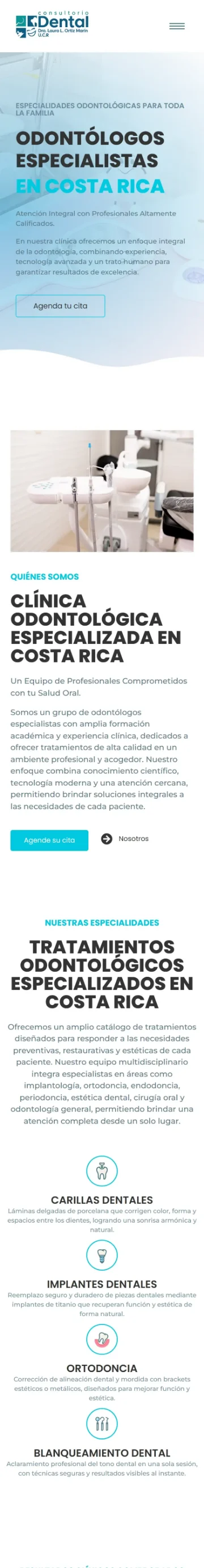El mismo sitio, visto en el celular.