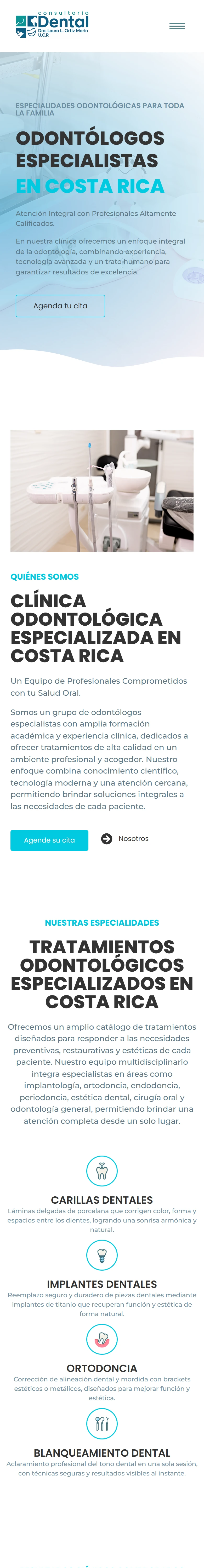 El mismo sitio, visto en el celular.